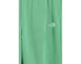 Штаны The North Face Teen Evolution EMB для детей