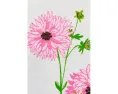 Свитер с коротким рукавом Lilly Pulitzer Orton из мягкой трикотажной ткани