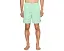 Шорты Billabong Las Buenas Solid LB Mist Green