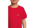 Футболка Lacoste Kids Core Tee из хлопка с вышитым крокодилом