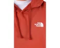 Толстовка The North Face Evolution Box NSE с капюшоном и принтом на спине