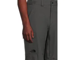 Утепленные лыжные брюки The North Face Freedom с изоляцией 60 г