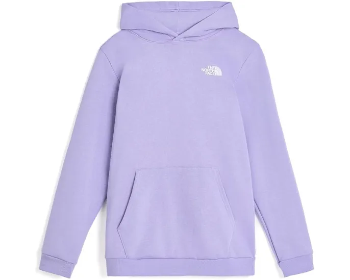 Худи The North Face Evolution Box NSE с капюшоном для детей