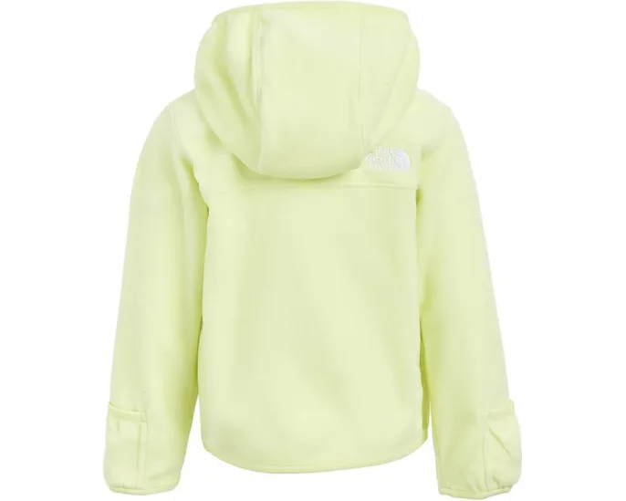 Детская толстовка The North Face Glacier с капюшоном и молнией