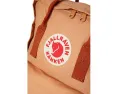 Рюкзак Fjällräven Kånken с пенопластовой спинкой