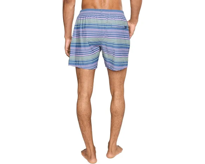 Плавки Chubbies The Blossom Bands 14 см в полоску с защитной подкладкой