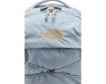 Рюкзак The North Face Borealis Luxe с системой подвески FlexVent