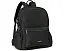 Рюкзак Baggallini Securtex Anti-Theft Laptop с защитой от кражи