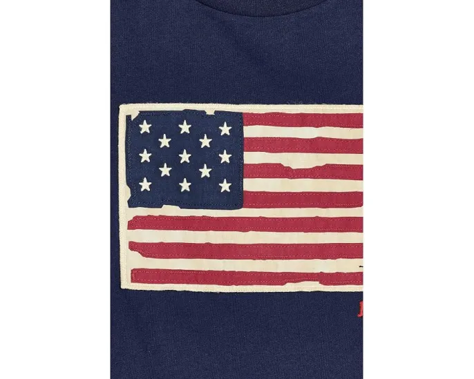 Детская футболка Polo Ralph Lauren Kids Flag Cotton с аппликацией американского флага