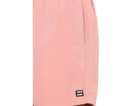 Шорты Billabong All Day LB из переработанного полиэстера