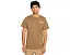 The North Face футболка Evolution TNF NSE Regular с коротким рукавом Caraway Seed