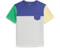Детская футболка Polo Ralph Lauren с цветными блоками из хлопкового джерси для детей старшего возраста