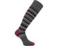 Носки Eurosock Wool Superlite Ski 2-Pack из мериносовой шерсти с полосками