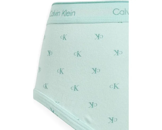Трусы Calvin Klein Cotton Classics 3 шт. из хлопка с эластичным поясом