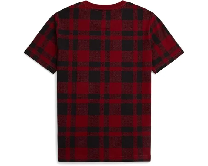 Хлопковая футболка Plaid Polo Bear Polo Ralph Lauren Kids для малышей и младших детей