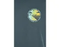 Футболка Hurley H2o Dri Enjoy с коротким рукавом