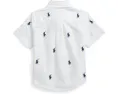 Короткая рубашка поло из оксфорда с пони Polo Ralph Lauren Kids для младенцев
