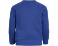 Футболка Junk Food Clothing Kids с длинным рукавом и принтом New England Patriots для детей
