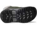 Детские зимние ботинки KEEN Kootenay IV Mid WP с утеплителем до -40°C