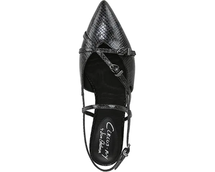 Балетки Circus NY by Sam Edelman Lindley с ремешками и регулируемой пряжкой
