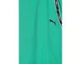 Шорты Puma Sport Pack Knit для детей с карманами и логотипом