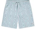Детские плавательные шорты Hurley Kids Mini Vacay Stripe Pull On Swim Trunk