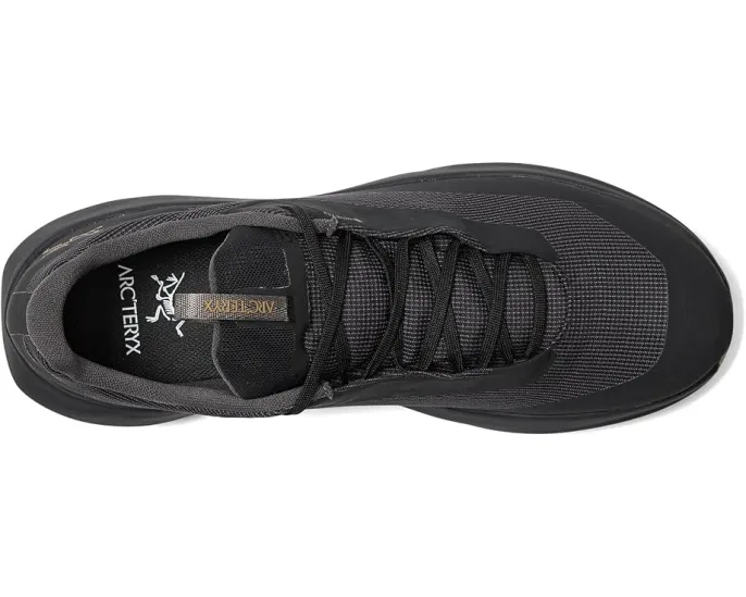 Трейловые кроссовки Arc'teryx Norvan LD 4 GTX с подошвой Vibram Megagrip