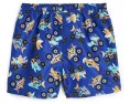 Плавательные шорты Truck Boardshorts Deux par Deux с принтом монстр-траков