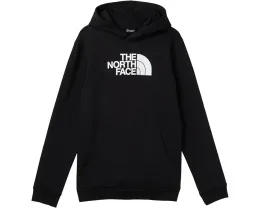 Толстовка The North Face Kids Evolution Half Dome с капюшоном и принтом