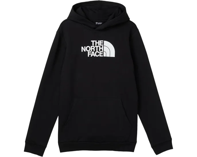 Толстовка The North Face Kids Evolution Half Dome с капюшоном и принтом