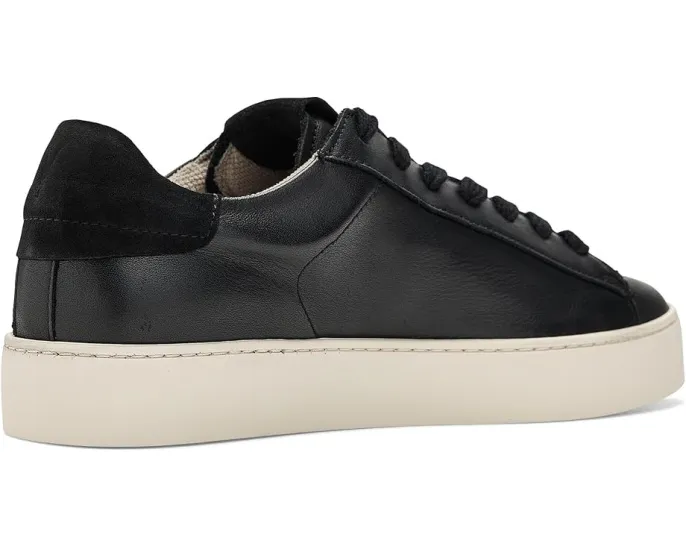 Кроссовки Shana из натуральной кожи с круглым носком и резиновой подошвой AllSaints