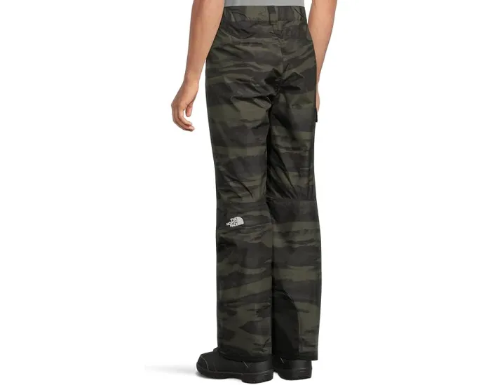 Брюки The North Face Freedom Pants Print с классическим кроем и карманами на молнии