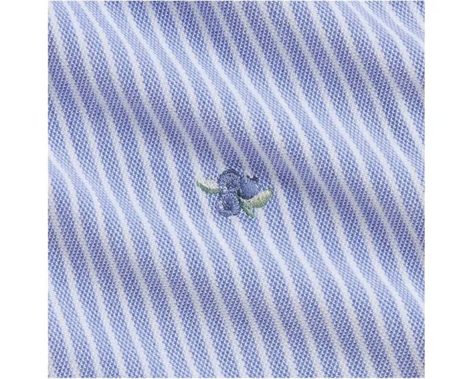 Комплект для девочки Polo Ralph Lauren Kids платье и шортики из хлопковой сетки с вышивкой черники