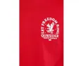 Футболка Quiksilver Freedom Ring с принтом