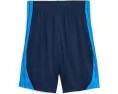 Детские шорты Puma Form Stripe с утяжкой