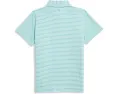 Детское поло Bradley Stripe Sankaty от Vineyard Vines с полосками