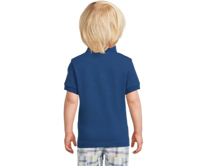 Детское поло Lacoste Petit Pique Polo из хлопкового пике