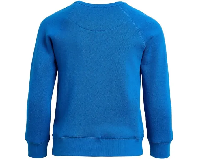 Толстовка NFL Detroit Lions реглан из флиса для детей Junk Food Clothing