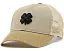 Кепка Black Clover Two Tone Vintage 39 с регулируемой посадкой и контрастным козырьком