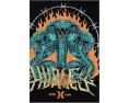 Hurley Kids футболка с коротким рукавом King Cobra с графикой для детей