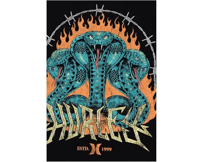 Hurley Kids футболка с коротким рукавом King Cobra с графикой для детей