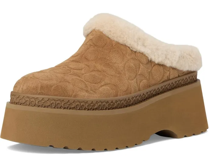 Сабо COACH Cecelia из замши с подкладкой из овчины