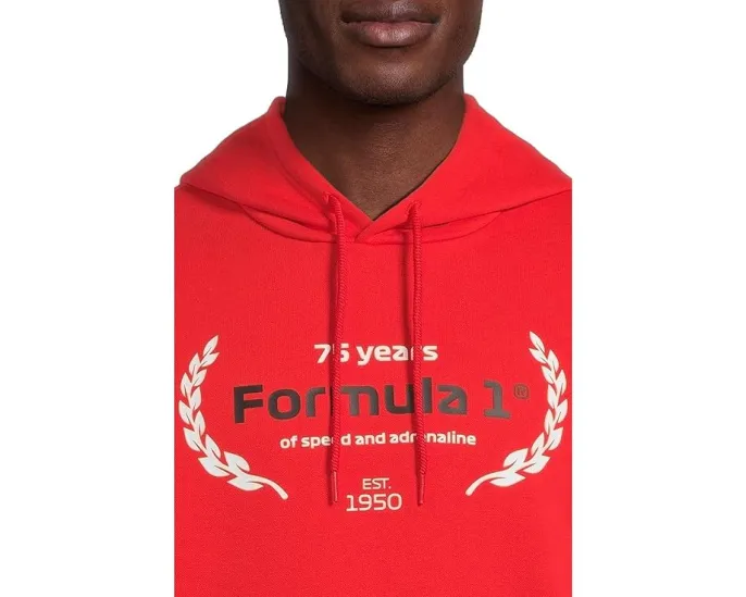 Худи Formula 1 Graphic с капюшоном и карманом кенгуру