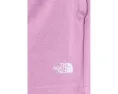 Шорты The North Face Double Knit