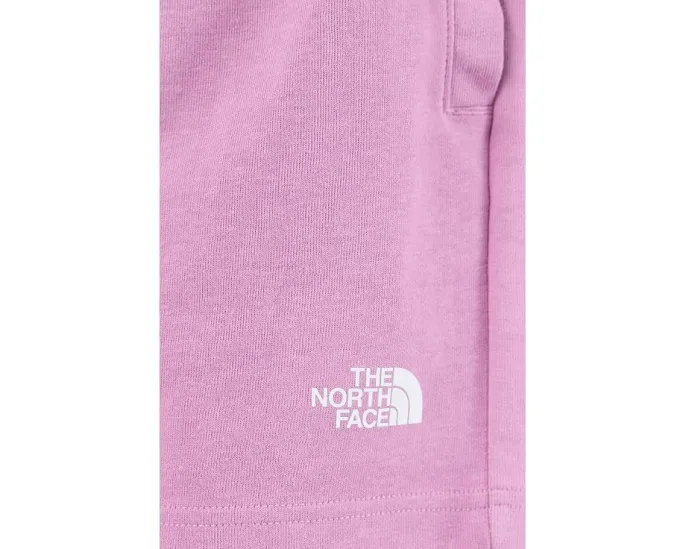 Шорты The North Face Double Knit