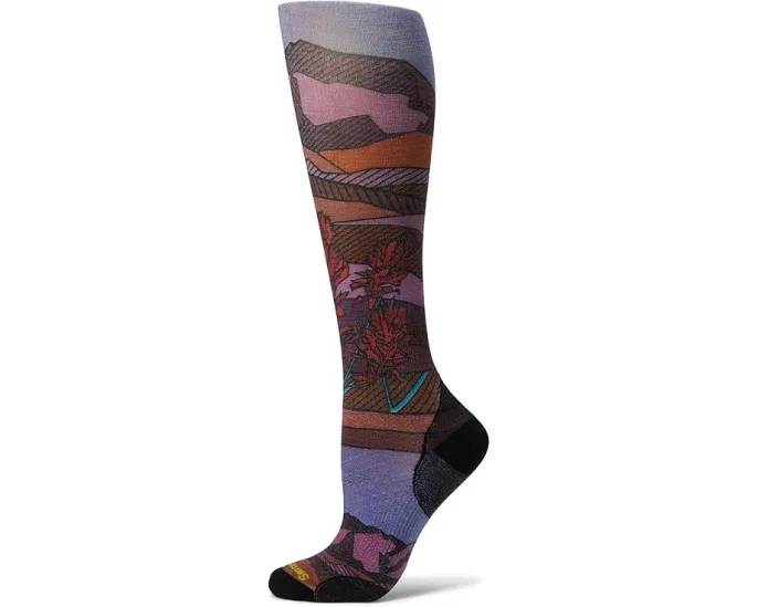 Носки Smartwool для катания на лыжах с принтом Floral Field и без амортизации