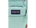 Рюкзак JanSport Cool Student для школы