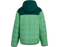 The North Face Детская реверсивная куртка Shasta с капюшоном и утеплителем