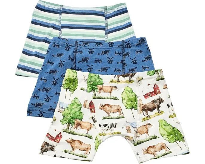 Набор из 3 боксеров для мальчиков Kickee Pants Kids с принтом и влагоотводящими свойствами