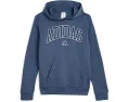 Худи Adidas Collegiate Arch с капюшоном для детей